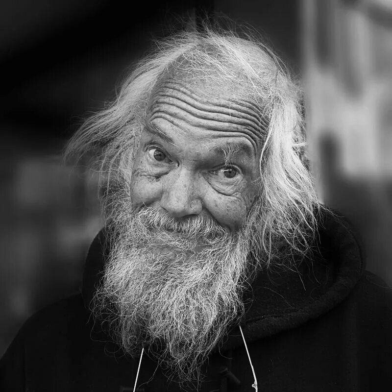 Дед пихто. Дедушка мудрец. Мудрый дед. Мудрый дед. Мудрый старичок.