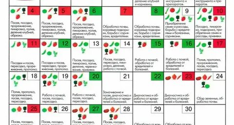 Пикировка перца в мае 2024 благоприятные дни