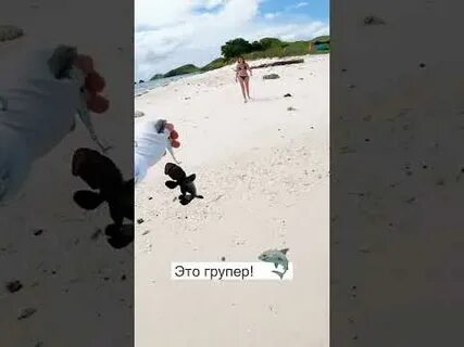 Выживают на острове 24 часа