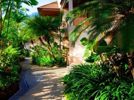 Coconut village