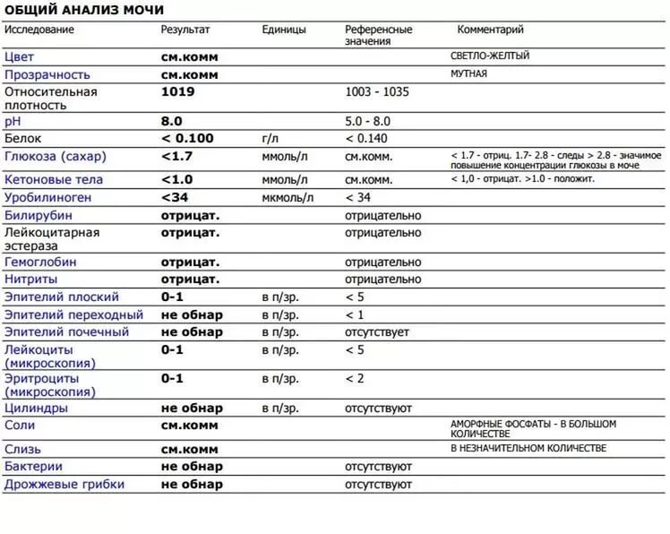 Общий белок у кошек. ОАМ уробилиноген норма. Анализ белка в моче норма. Общий анализ белка в моче при беременности норма. Белок в моче 0.3 г/л.