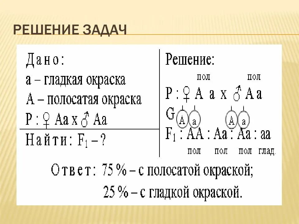 Задачи на закон менделя биология