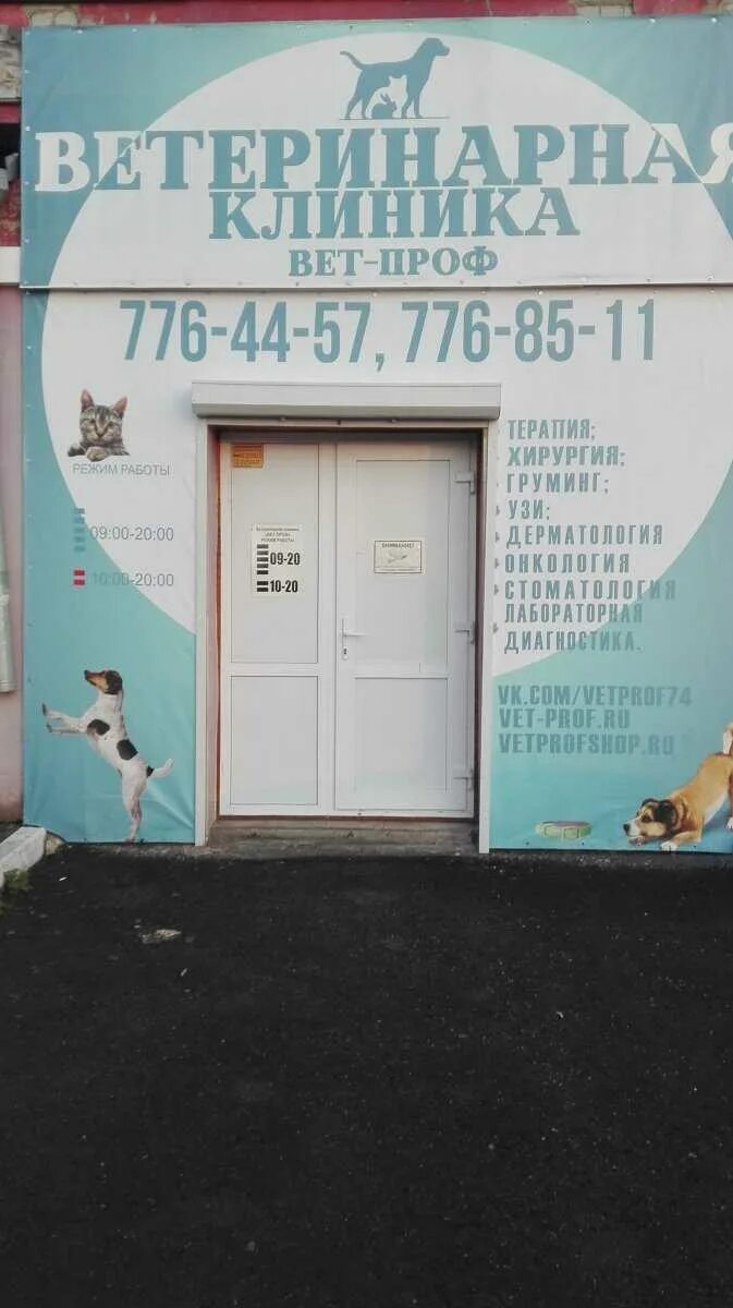 Вет проф. Трашутина 41 ветеринарная клиника челябинск. ветеринарная клиника в юрюзани. профвет спб ветеринария. ветеринарная клиника 50 лет октября.
