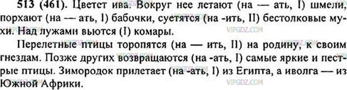 Цветет ива вокруг нее летают шмели порхают. Задания по русскому языку 6 ладыженская. Русский язык учебник 6 класс упражнение 513. Русский 6 класс ладыженская 2 часть.