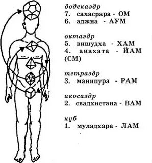 Тела в соответствии с