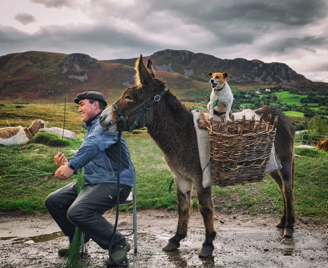 Лучшие ото. Интересные фотографии. Фотографы Нэшнл географик. Лучшие снимки National Geographic. Лучшие фоторепортажи.