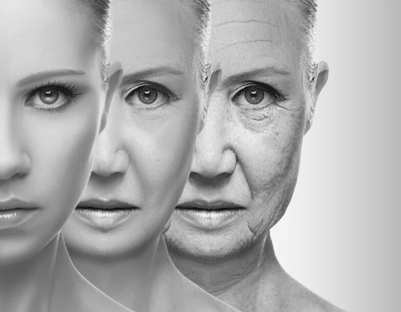 Ageing model