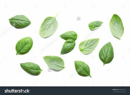 Leaves off