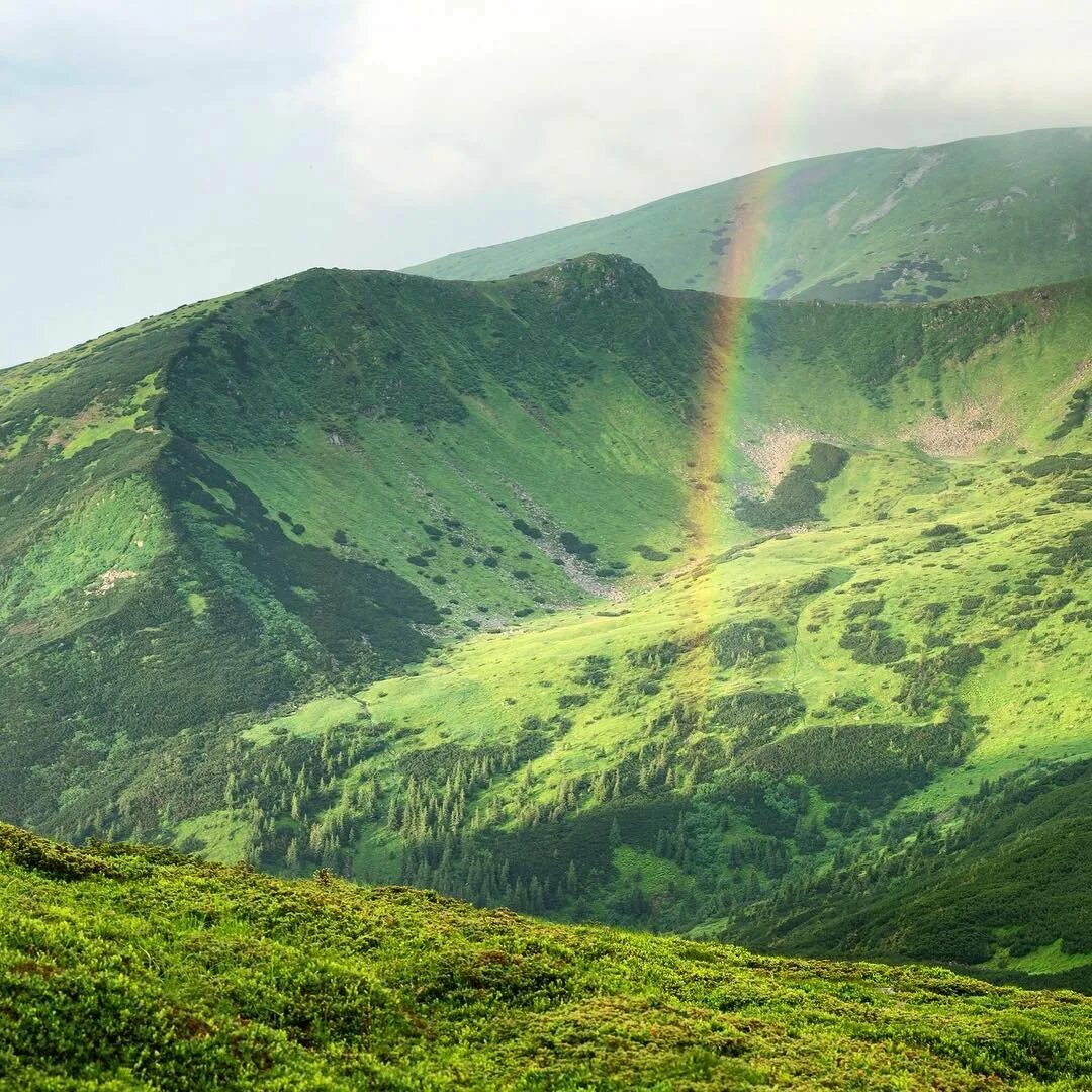 Украинские карпаты горные хребты. Говерла гора. Вершина горы карпаты. Трускавец. Горы закарпатья.