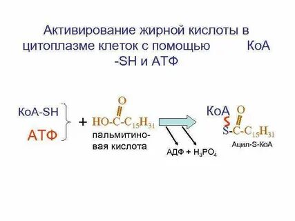 Ацил