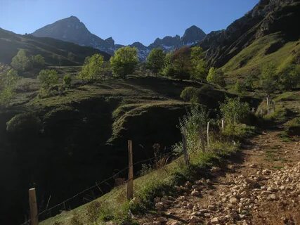 Natural de