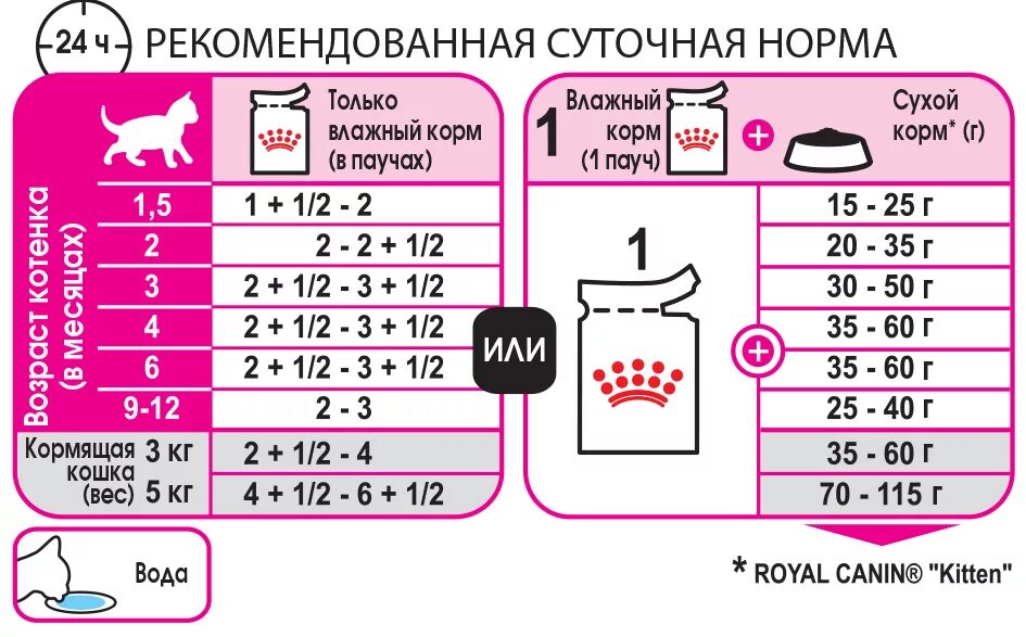 Сколько грамм влажного