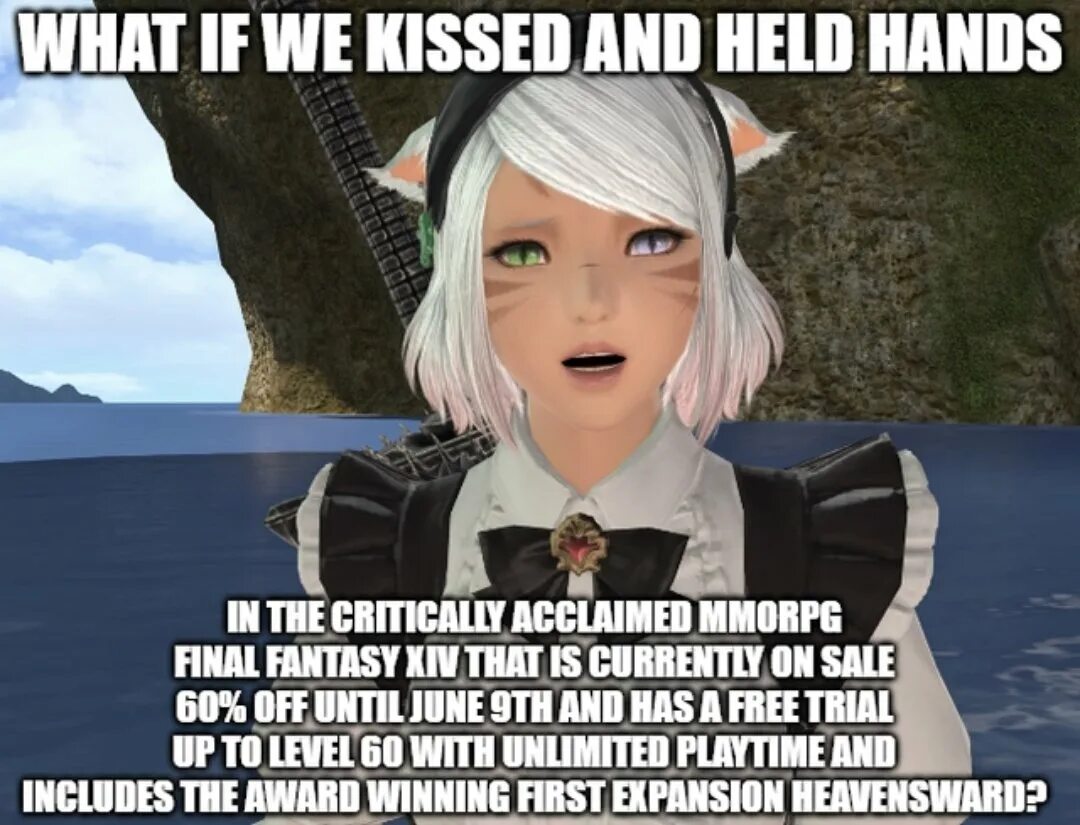 You have bested me. ММОРПГ по финалу фэнтези. FF XIV meme. Ff14 mem. Have you heard of critically Acclaimed Final Fantasy.