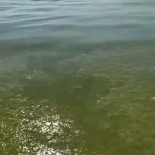 Вода в анапском районе