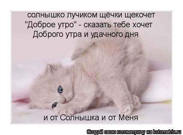 Красивыйчашки длякофе. Доброе утро девушке. Стихи про утро. Кофе в постель любимому мужчине. Доброе утро котенок.