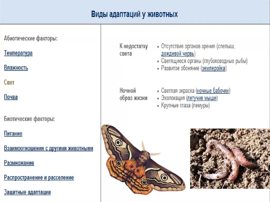 Адаптация организма к среде обитания пример