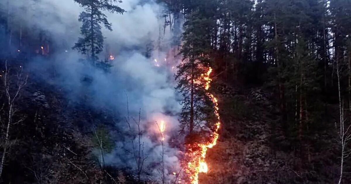 Горит заповедник