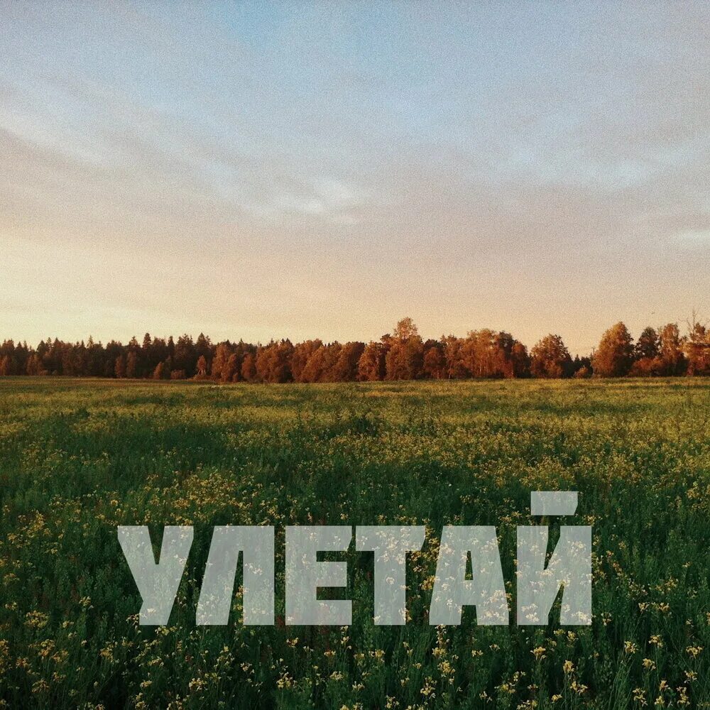 Улетай басс. Улетай картинки. Улетай 2022. Улетай обложка. Трек Улетай.