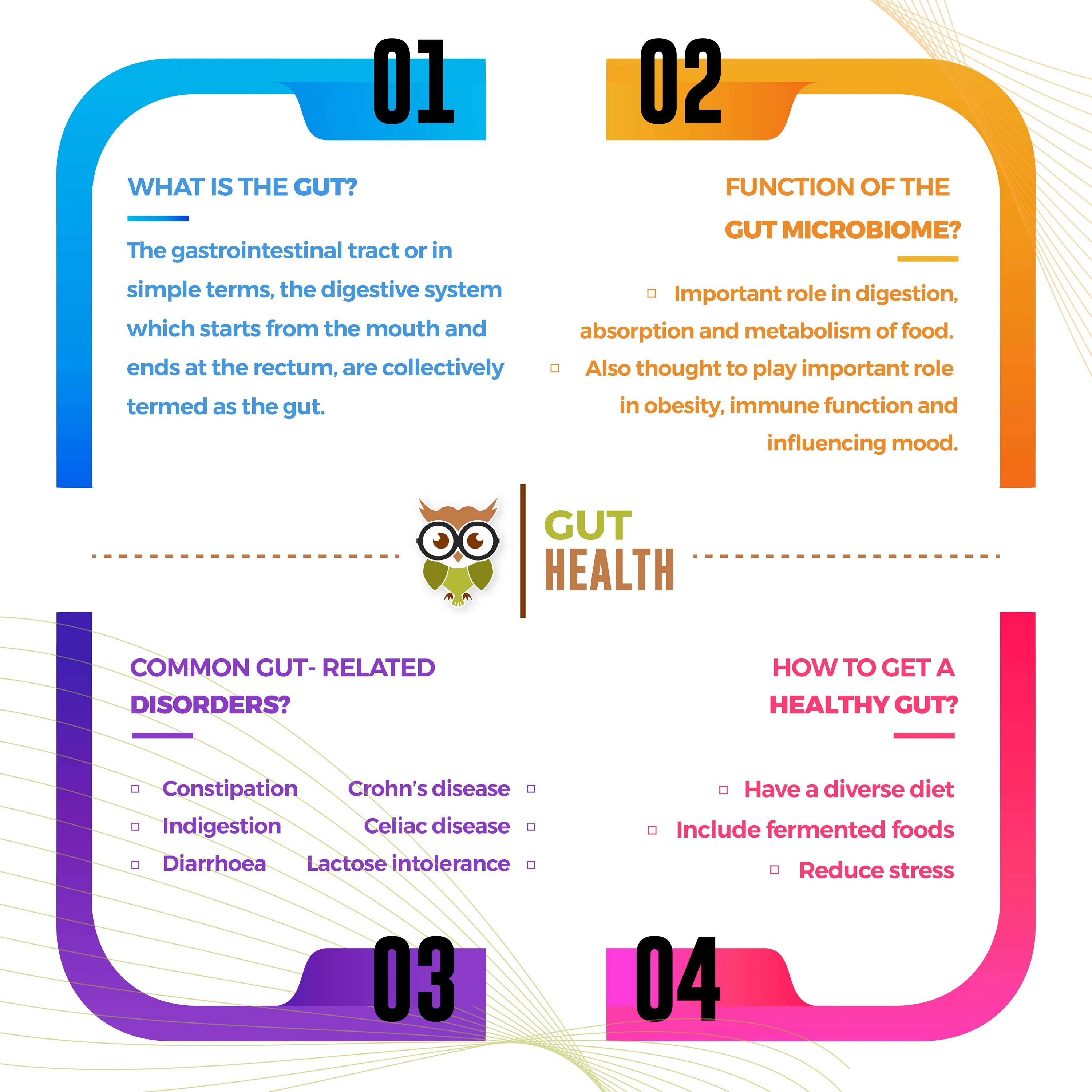 Волос в еде. Terra origin healthy gut. Terra origin healthy gut. Фото healthy gut. Гут хелфи.