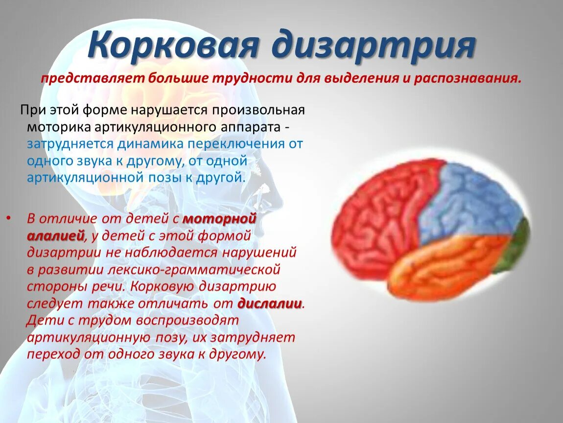 Корковая кинестетическая дизартрия. Корковая дизартрия характеристика. Корковая дизартрия очаг поражения. Корковая дизартрия поражения мозга. Спастико паретическая дизартрия