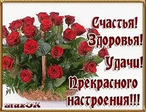 Видео с пожеланием здоровья