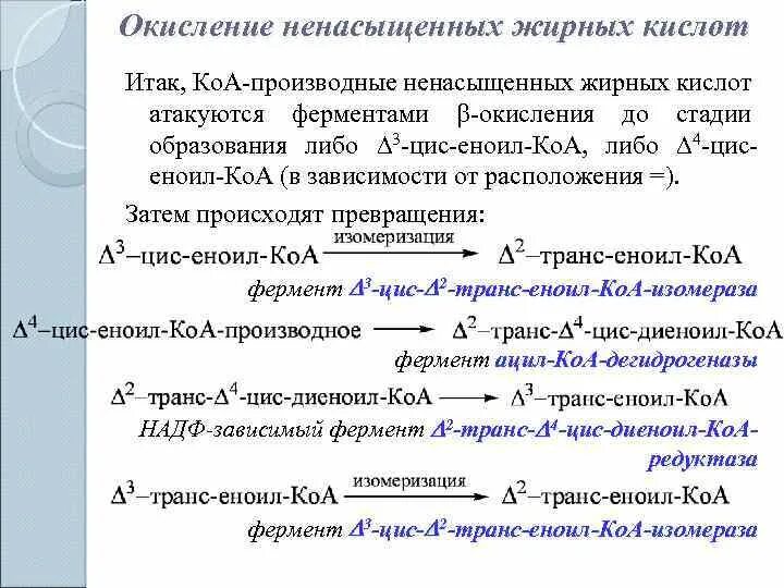 Окисление жирных кислот фермент. Схема бета окисления ненасыщенных жирных кислот. Схема реакции окисления ненасыщенных жирных кислот. Окисление полиненасыщенных жирных кислот биохимия. Бета окисление ненасыщенных жирных кислот.