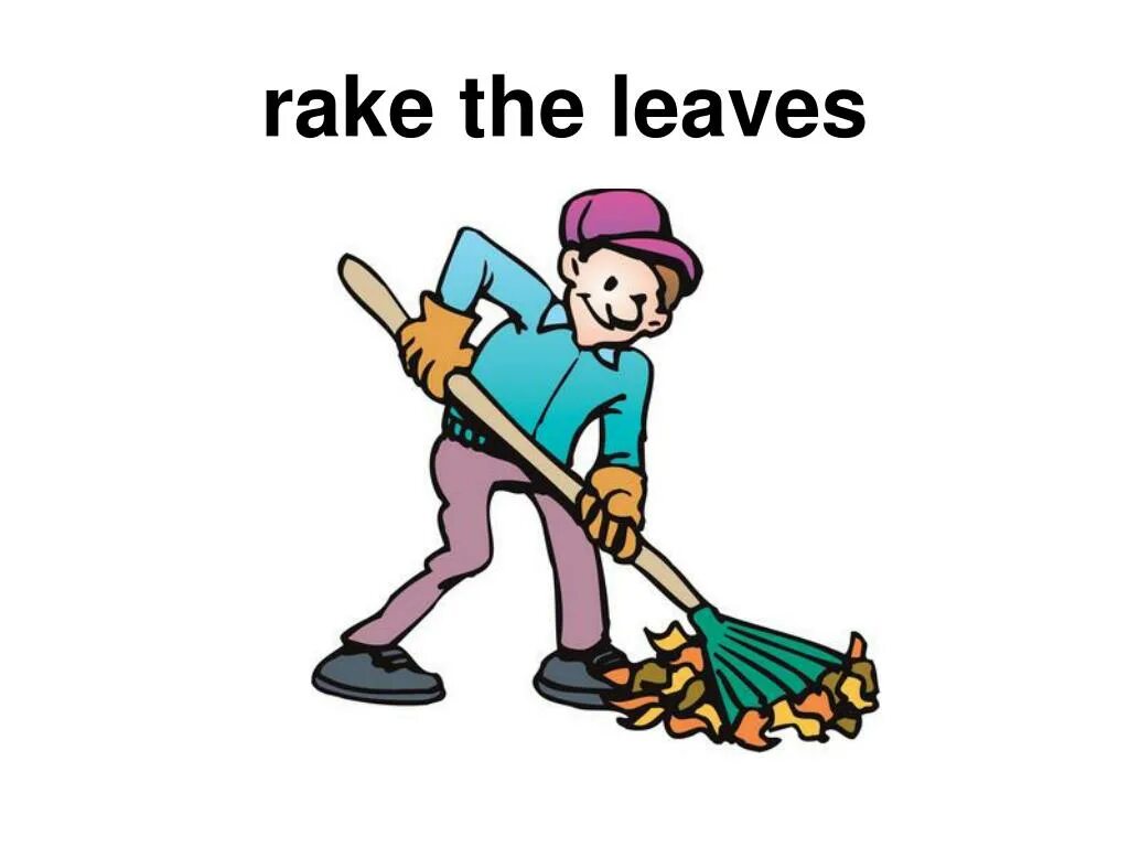 Rake leaves. Rake leaves перевод. Rake the leaves проект картинки.