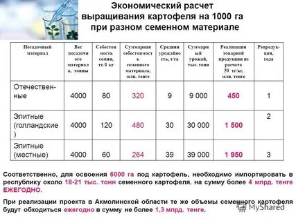 Сколько ведер картошки нужно на 1 сотку