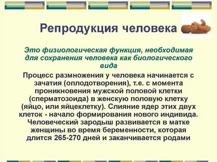 Фертильность у мужчин что это такое простыми