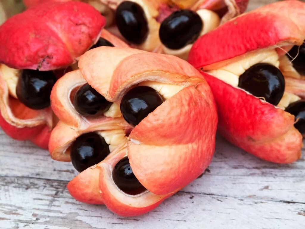 Несъедобная еда. Фрукт Ackee Ямайка. Аки Блигия. Фрукт аки ядовитый. Плод аки ямайский.