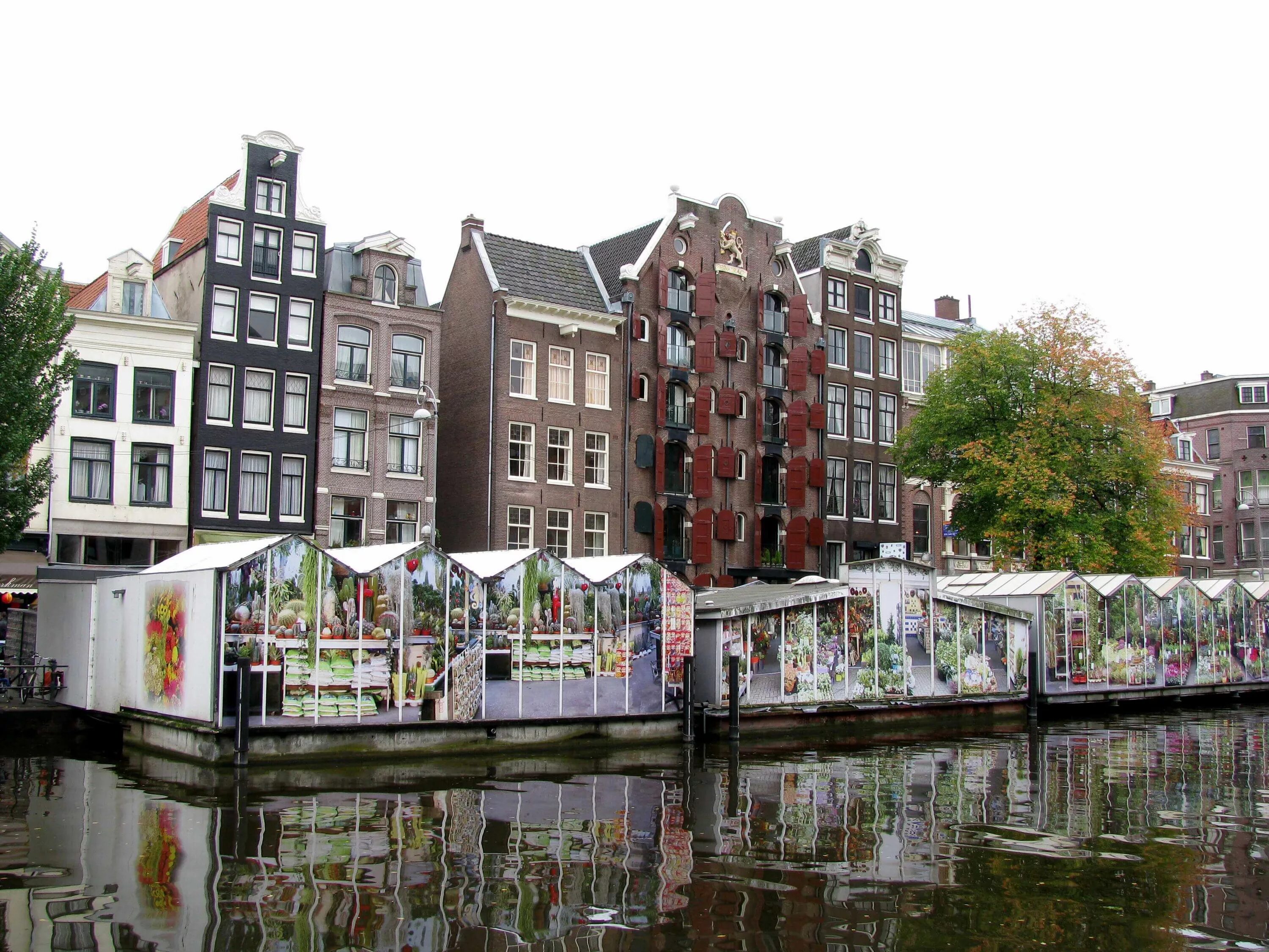 Рынок Bloemenmarkt Амстердам. Плавучий цветочный рынок в Амстердаме. Цветочный рынок Блюменмаркт Амстердам. Цветочный рынок Амстердам Нидерланды. Амстердам зеленоградск