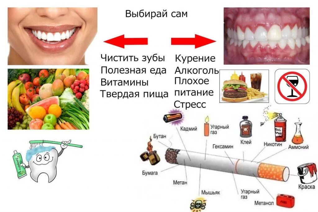 Зубы и пищу