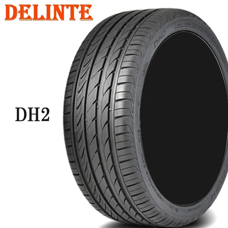 Delinte dh2 195/55 r15. Delinte dh2 185/65 r15. Delinte dh2 215/55 r17. Doublestar dh03 225/40 r18 w92. Купить резину delinte