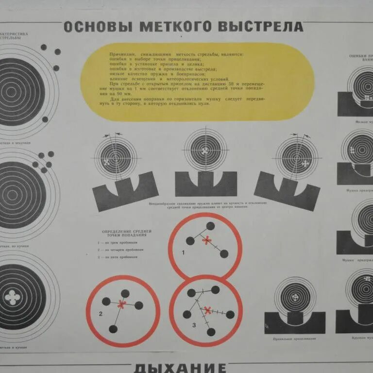 Меткий выстрел дзен. Основы меткого выстрела плакат. Основы меткого выстрела. Основы техники меткого выстрела.. Правильная вкладка при стрельбе из гладкоствольного оружия.