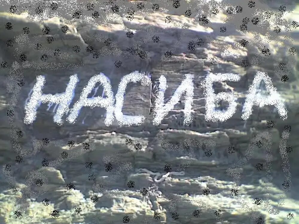 Насиба национальность. Алиса насиба абдуллаева. Рузимуродова насиба. Насиба национальность. Насиба абдуллаева 2022.