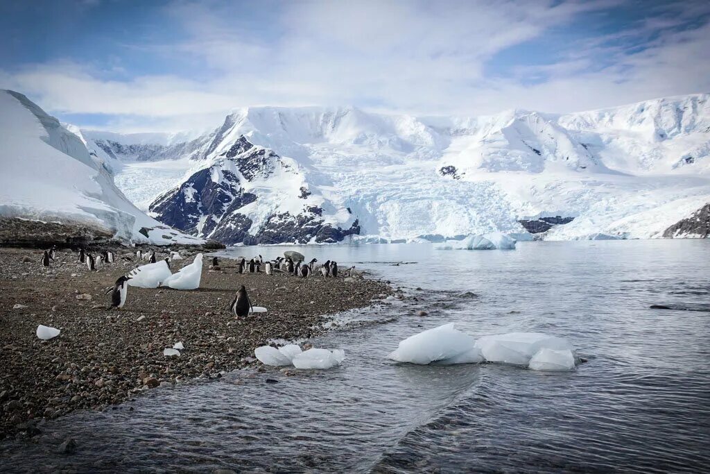 Свободный ото льда участок антарктиды. Арктика Антарктика Антарктида. Ледник Беринга. Остров Хасуэлл Антарктида. Антарктида (материк) ледники Антарктиды.
