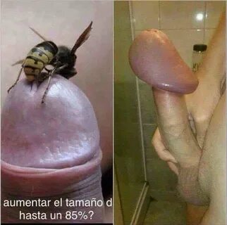Pornhub gentlyperv - kanotie.com