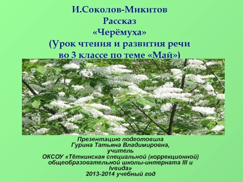 Черемухи цвет брусникины рассказы глава 7