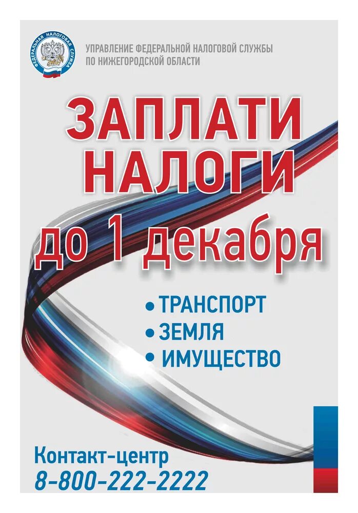 Оплатить налоги до декабря. Заплати налоги до 1 декабря. Налоги памятка. Оплатить налоги до 1 декабря. Памятка об уплате налогов.