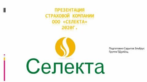 Селекта сервис