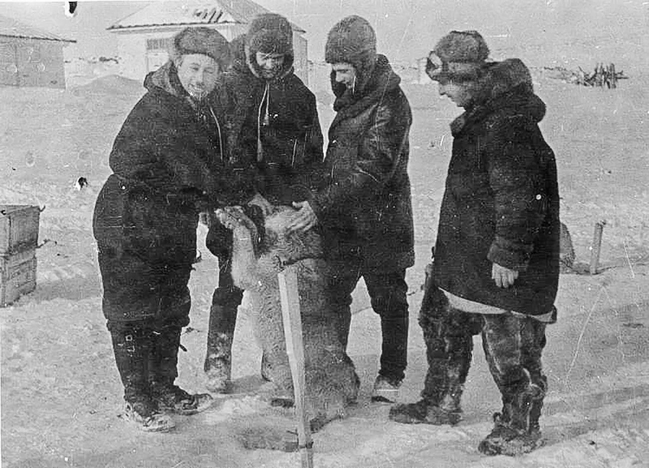 North pole 1. Экспедиция Папанина на Северный полюс 1937. Северный полюс 1 станция дрейфующая первая Папанин. Станция Северный полюс1 Папапнин.