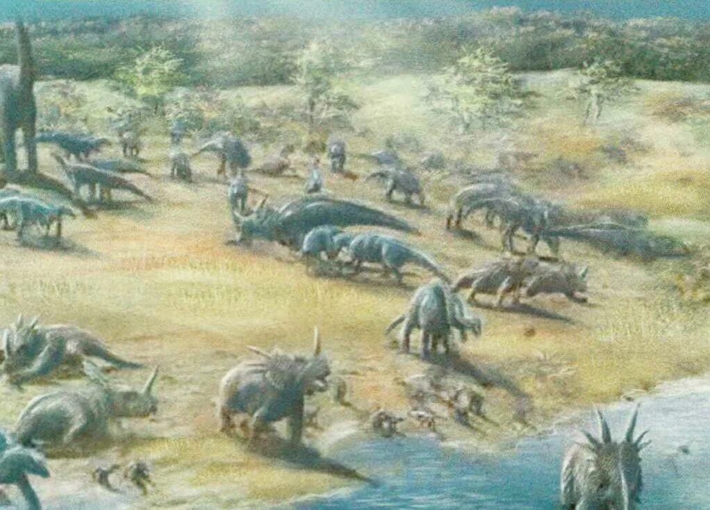 250 млн лет назад какой период