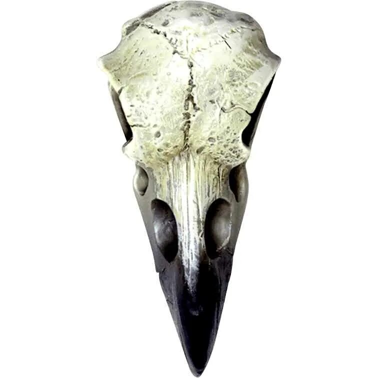 Фигурка череп птицы. Череп журавля. Череп птицы. Raven skull. Alchemy gothic черепа.