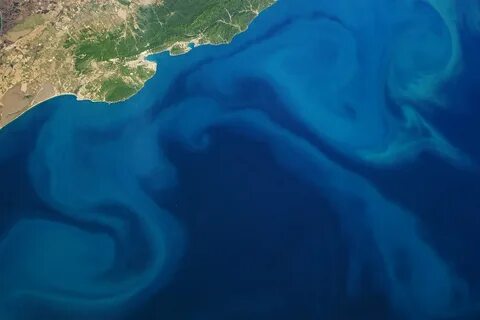 Черное море в мировом океане