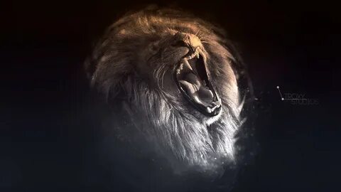 Wallpapers Aslan - Wallpaper Cave