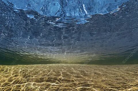 Водное пространство реки