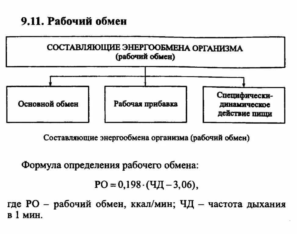 Основной обмен и общий обмен различия. Рабочую прибавку, рабочий обмен. Рабочая прибавка физиология. Основной обмен и рабочий обмен. Рабочая прибавка количественный показатель.