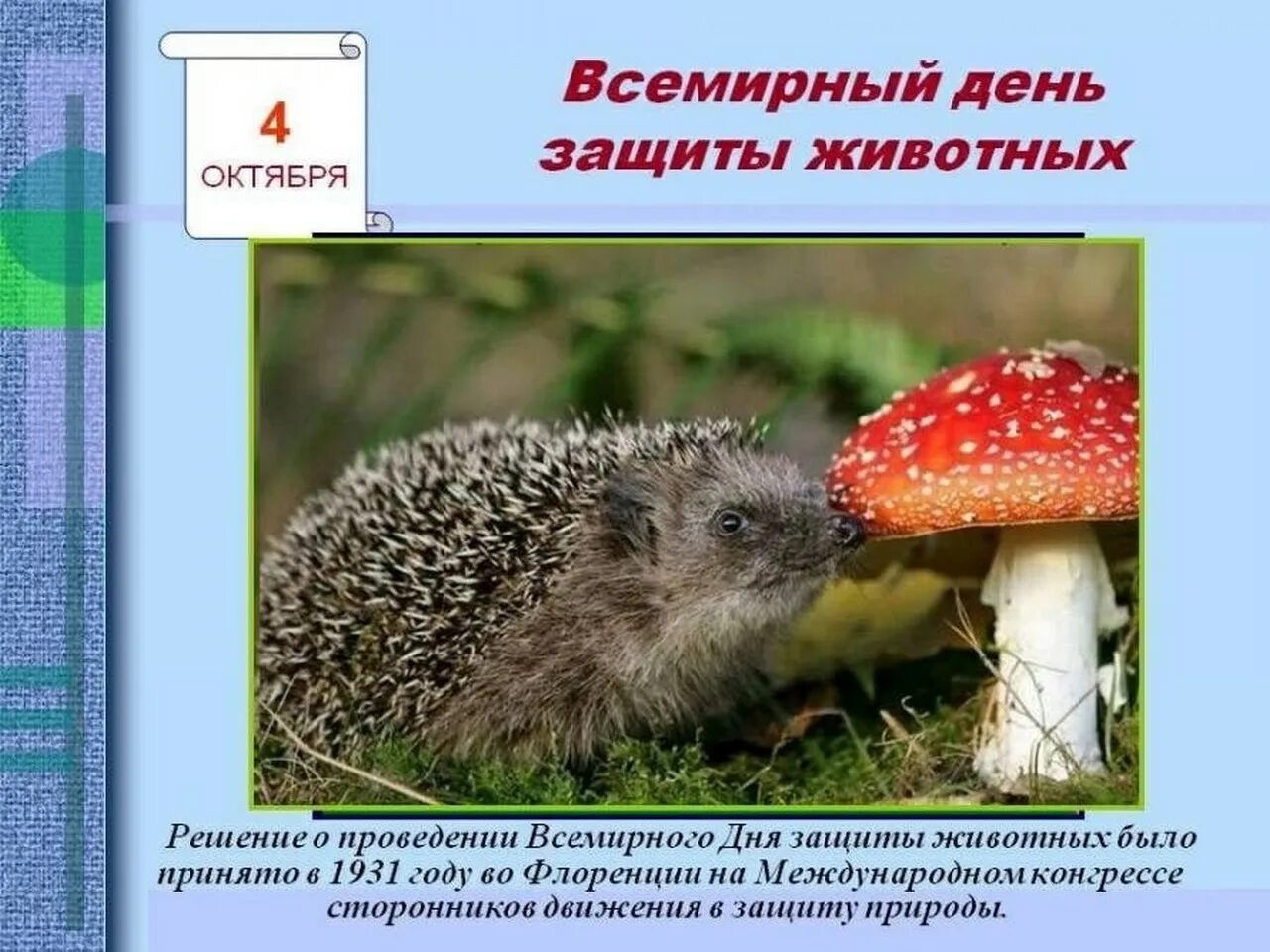 4 октября дата. Всемирный день защиты животных. 4 октября всемирный день защиты животных. 4 октября праздник защиты животных. сообщения всемирный день защиты животных.