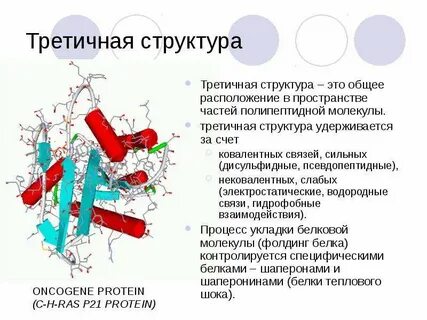 L общее это