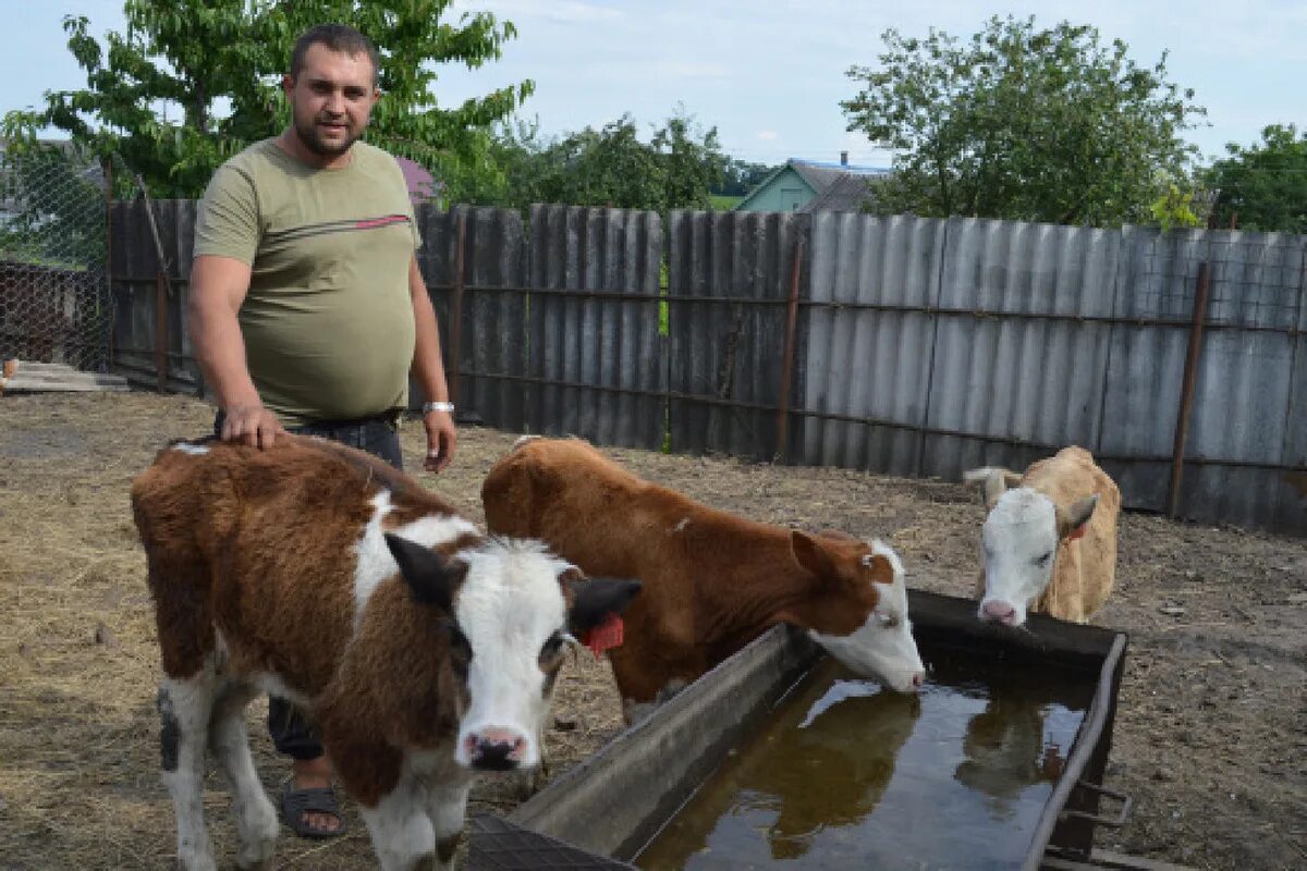 Продажа подсобных хозяйств. Подсобное хозяйство. Красивые личные подсобные хозяйства в Липецкой области. ЛПХ ключи. Социальный контракт 2023 на личное подсобное хозяйство.